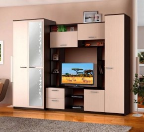 АЛЕКСАНДРА 10 Стенка в Ханты-Мансийске - hanty-mansiysk.ok-mebel.com | фото 2