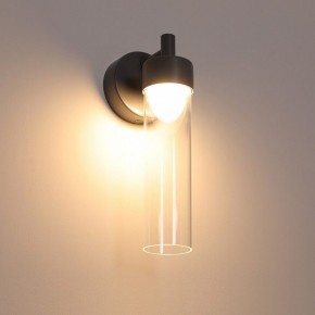 Бра Favourite Outdoor 4703-1W в Ханты-Мансийске - hanty-mansiysk.ok-mebel.com | фото 4