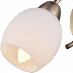 Бра TopLight Merry TL3780B-01AB в Ханты-Мансийске - hanty-mansiysk.ok-mebel.com | фото 2