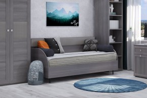 Диван-кровать 900 Парма Нео в Ханты-Мансийске - hanty-mansiysk.ok-mebel.com | фото 4