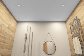DK2036-WH Встраиваемый светильник влагозащ., IP 44, до 15 Вт, GU10, LED, белый, алюминий в Ханты-Мансийске - hanty-mansiysk.ok-mebel.com | фото 5