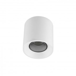 DK3090-WH+CH Светильник накладной IP 20, 10 Вт, GU5.3, LED, белый/хром, пластик в Ханты-Мансийске - hanty-mansiysk.ok-mebel.com | фото