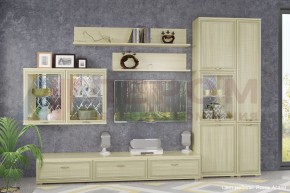 Гостиная Карина Композиция 1 (Ясень Асахи) в Ханты-Мансийске - hanty-mansiysk.ok-mebel.com | фото 4