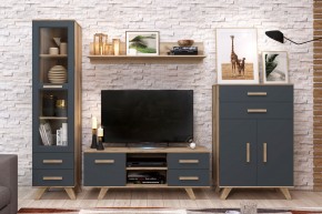 Гостиная Вега Скандинавия (комплект 7) в Ханты-Мансийске - hanty-mansiysk.ok-mebel.com | фото 2