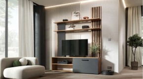 КАРОЛИНА Гостиная в Ханты-Мансийске - hanty-mansiysk.ok-mebel.com | фото