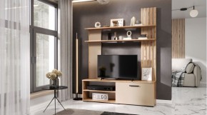 КАРОЛИНА Гостиная (дуб вотан/кашемир) в Ханты-Мансийске - hanty-mansiysk.ok-mebel.com | фото