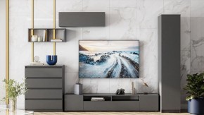 Комод Сибити в Ханты-Мансийске - hanty-mansiysk.ok-mebel.com | фото 5