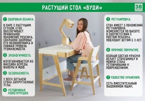 Комплект растущий стол и стул с чехлом 38 попугаев «Вуди» (Серый, Береза, Салют) в Ханты-Мансийске - hanty-mansiysk.ok-mebel.com | фото