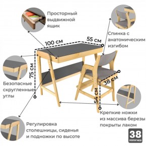 Комплект растущий стол и стул с чехлом 38 попугаев «Вуди» (Серый, Береза, Серый) в Ханты-Мансийске - hanty-mansiysk.ok-mebel.com | фото
