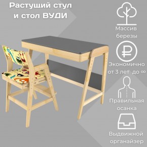 Комплект растущий стол и стул с чехлом 38 попугаев «Вуди» (Серый, Без покрытия, Монстры) в Ханты-Мансийске - hanty-mansiysk.ok-mebel.com | фото