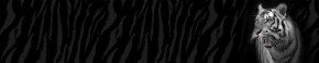 Кухонный фартук Фауна 055 МДФ матовый (3000) Fauna в Ханты-Мансийске - hanty-mansiysk.ok-mebel.com | фото