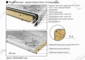 Кухонный фартук со столешницей (А-01) в едином стиле (3050 мм) в Ханты-Мансийске - hanty-mansiysk.ok-mebel.com | фото 6