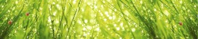 Кухонный фартук Цветы 115 МДФ матовый (3000) Flowers в Ханты-Мансийске - hanty-mansiysk.ok-mebel.com | фото