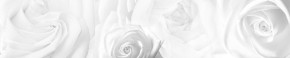 Кухонный фартук Цветы 217 МДФ матовый (3000) Flowers в Ханты-Мансийске - hanty-mansiysk.ok-mebel.com | фото
