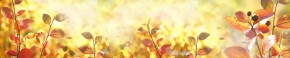 Кухонный фартук Цветы 318 МДФ матовый (3000) Flowers в Ханты-Мансийске - hanty-mansiysk.ok-mebel.com | фото