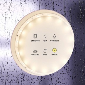 Лента светодиодная Maytoni Led strip 10105 в Ханты-Мансийске - hanty-mansiysk.ok-mebel.com | фото 2
