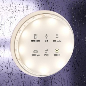 Лента светодиодная Maytoni Led strip 10124 в Ханты-Мансийске - hanty-mansiysk.ok-mebel.com | фото 3