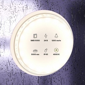 Лента светодиодная Maytoni Led strip 10172 в Ханты-Мансийске - hanty-mansiysk.ok-mebel.com | фото 2