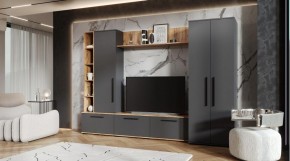 ЛЕВАНТЕ Гостиная в Ханты-Мансийске - hanty-mansiysk.ok-mebel.com | фото