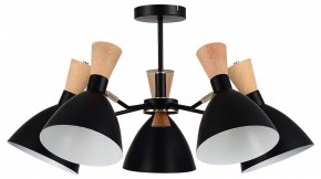 Люстра на штанге EVOLUCE VISTA SLE1256-402-05 в Ханты-Мансийске - hanty-mansiysk.ok-mebel.com | фото