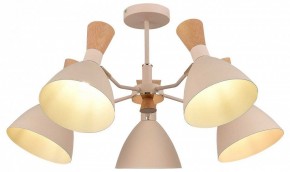 Люстра на штанге EVOLUCE VISTA SLE1256-502-05 в Ханты-Мансийске - hanty-mansiysk.ok-mebel.com | фото 6