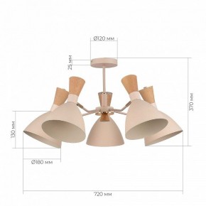 Люстра на штанге EVOLUCE VISTA SLE1256-502-05 в Ханты-Мансийске - hanty-mansiysk.ok-mebel.com | фото 8