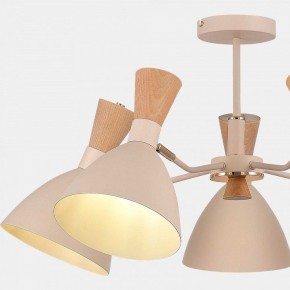 Люстра на штанге EVOLUCE VISTA SLE1256-502-05 в Ханты-Мансийске - hanty-mansiysk.ok-mebel.com | фото 9