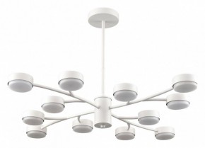 Люстра на штанге Lumion TORINA 8265/12 в Ханты-Мансийске - hanty-mansiysk.ok-mebel.com | фото