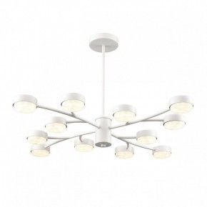 Люстра на штанге Lumion TORINA 8265/12 в Ханты-Мансийске - hanty-mansiysk.ok-mebel.com | фото 2