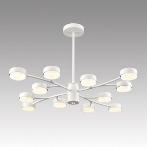 Люстра на штанге Lumion TORINA 8265/12 в Ханты-Мансийске - hanty-mansiysk.ok-mebel.com | фото 3
