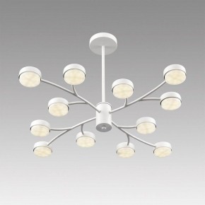 Люстра на штанге Lumion TORINA 8265/12 в Ханты-Мансийске - hanty-mansiysk.ok-mebel.com | фото 5