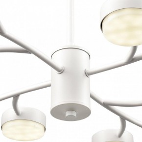 Люстра на штанге Lumion TORINA 8265/12 в Ханты-Мансийске - hanty-mansiysk.ok-mebel.com | фото 8