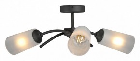 Люстра на штанге Vitaluce V2850 V2850-1/3PL в Ханты-Мансийске - hanty-mansiysk.ok-mebel.com | фото