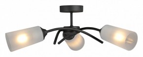 Люстра на штанге Vitaluce V2850 V2850-1/3PL в Ханты-Мансийске - hanty-mansiysk.ok-mebel.com | фото 3