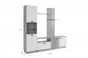 МОДИ Гостиная (модульная) белое дерево в Ханты-Мансийске - hanty-mansiysk.ok-mebel.com | фото 2