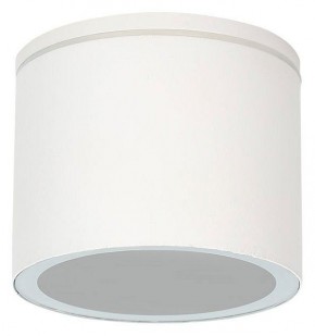 Накладной светильник Arte Lamp Piautos A1913PF-1WH в Ханты-Мансийске - hanty-mansiysk.ok-mebel.com | фото