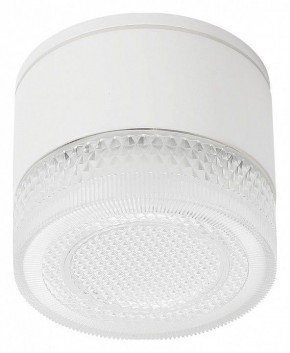 Накладной светильник Arte Lamp Piautos A1926PF-1WH в Ханты-Мансийске - hanty-mansiysk.ok-mebel.com | фото
