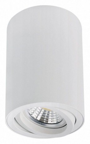 Накладной светильник Arte Lamp Sentry A1566PL-1WH в Ханты-Мансийске - hanty-mansiysk.ok-mebel.com | фото