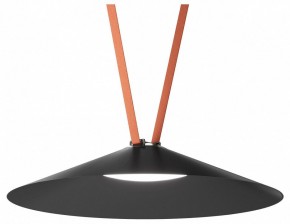 Накладной светильник Denkirs Belty Flow DK5568-BK в Ханты-Мансийске - hanty-mansiysk.ok-mebel.com | фото 2