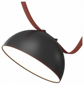 Накладной светильник Denkirs Belty Flow DK5660-BK в Ханты-Мансийске - hanty-mansiysk.ok-mebel.com | фото