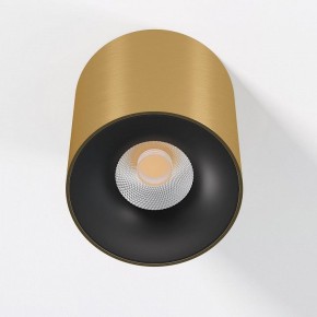 Накладной светильник Elektrostandard Primo 25116/LED в Ханты-Мансийске - hanty-mansiysk.ok-mebel.com | фото