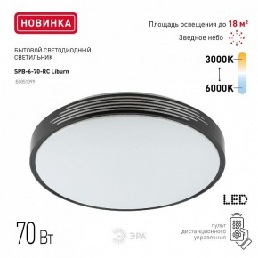 Накладной светильник Эра Классик SPB-6-70-RC Liburn в Ханты-Мансийске - hanty-mansiysk.ok-mebel.com | фото 10