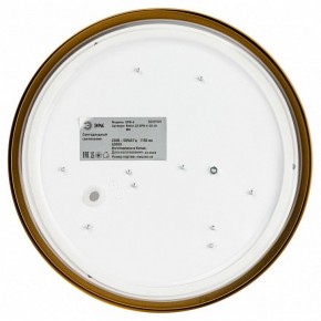 Накладной светильник Эра Relict Relict 22 SPB-6-20 4К MG в Ханты-Мансийске - hanty-mansiysk.ok-mebel.com | фото 4
