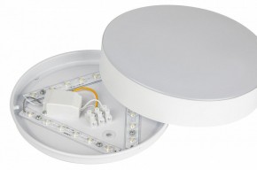 Накладной светильник Эра Relict Relict 22 SPB-6-20 4К WH в Ханты-Мансийске - hanty-mansiysk.ok-mebel.com | фото 7