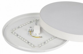 Накладной светильник Эра Relict Relict 38 SPB-6-40 4К WH в Ханты-Мансийске - hanty-mansiysk.ok-mebel.com | фото 7