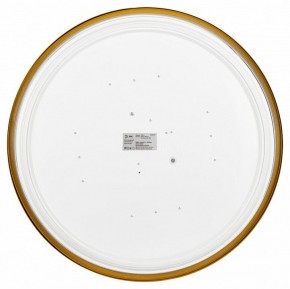 Накладной светильник Эра Relict Relict 48 Pult SPB-6-60-RC MG в Ханты-Мансийске - hanty-mansiysk.ok-mebel.com | фото 4