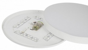 Накладной светильник Эра Relict Relict 48 Pult SPB-6-60-RC WH в Ханты-Мансийске - hanty-mansiysk.ok-mebel.com | фото 11