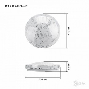 Накладной светильник Эра Relict SPB-6-50-6,5K Syuzi в Ханты-Мансийске - hanty-mansiysk.ok-mebel.com | фото 3
