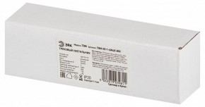 Накладной светильник Эра  TRM-S5-1-6W4K-WH в Ханты-Мансийске - hanty-mansiysk.ok-mebel.com | фото 6