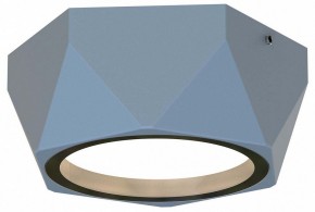 Накладной светильник Favourite Fantum 4669-1U в Ханты-Мансийске - hanty-mansiysk.ok-mebel.com | фото
